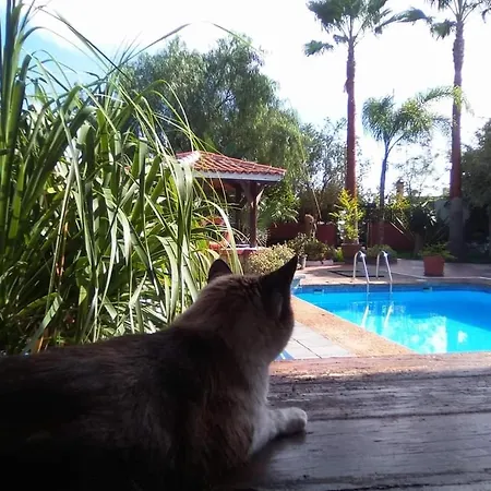 Finca Los Retalitos Un Oasis Con Piscina Privada Güimar