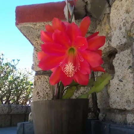 Casa vacanze Finca Los Retalitos Un Oasis Con Piscina Privada